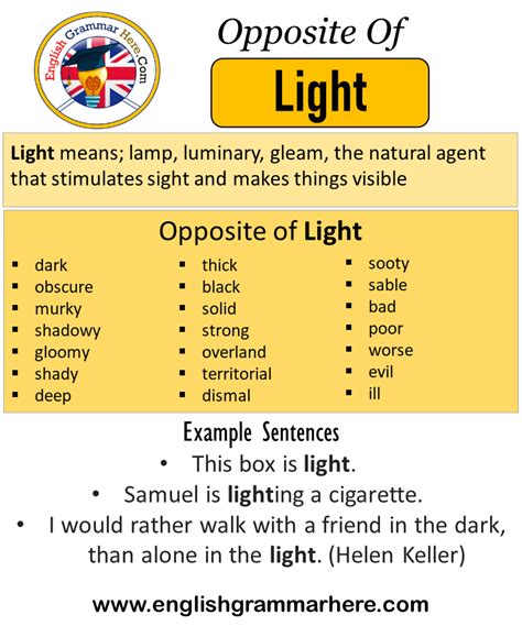 139 Synonyms & Antonyms for SHED LIGHT ON